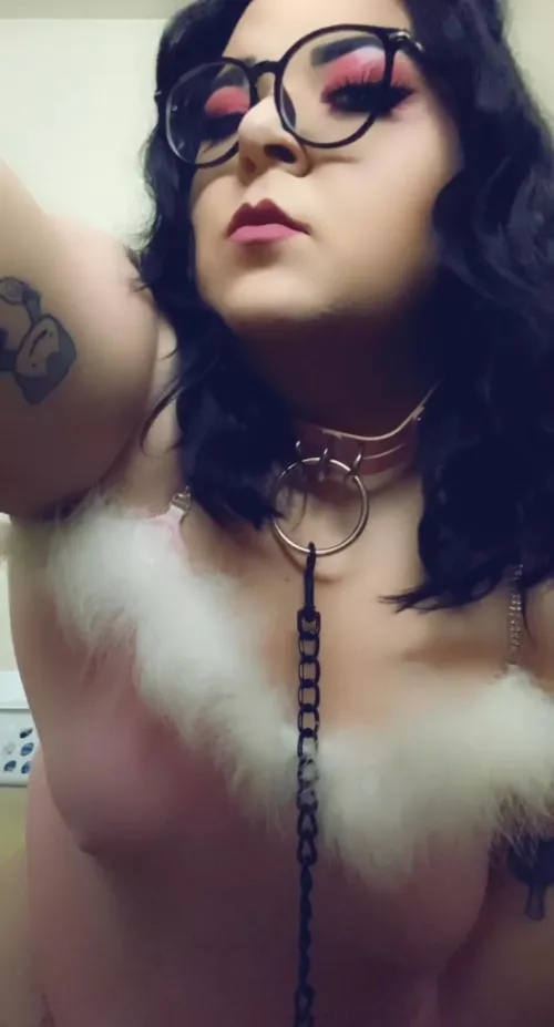 daddy says the collar and leash are mandatory