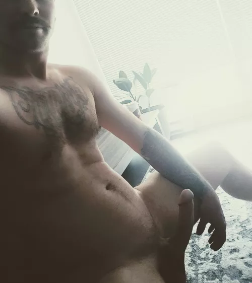 Enjoying the morning sun, next time I might open the blinds.