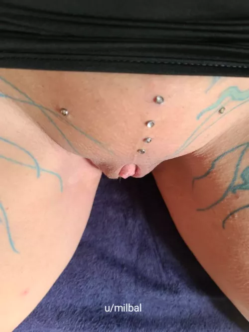 Just a quick pic of my dermals as requested! 😋(F)60!