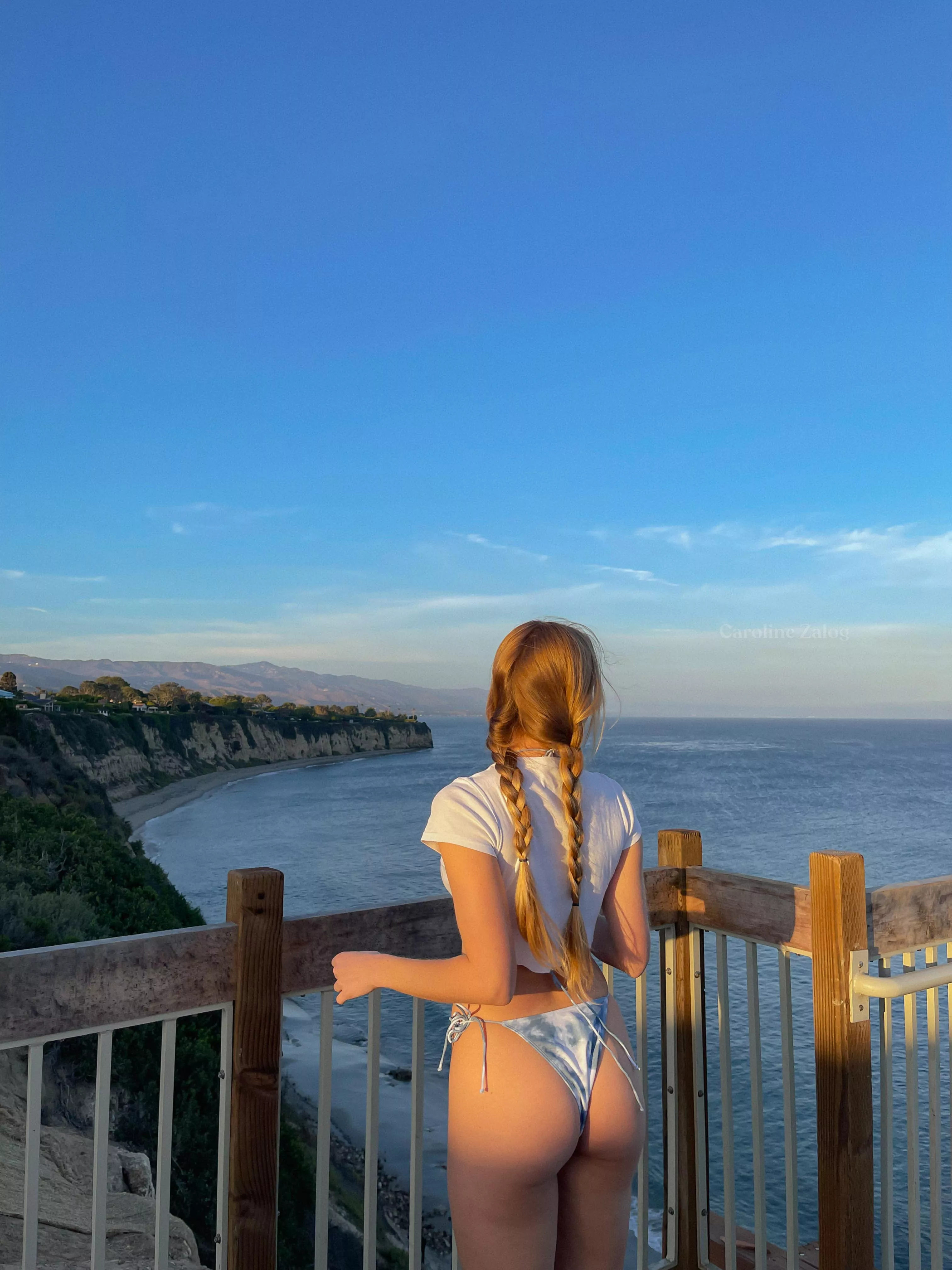 matching the theme / Caroline Zalog