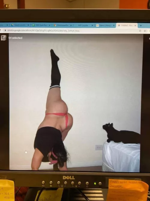 My coworker accidentally uploaded her phone pics to our shared work computer…