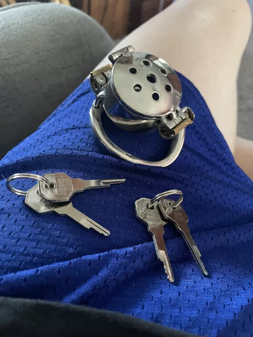 New cage arrived today. Can’t wait to give it a try.