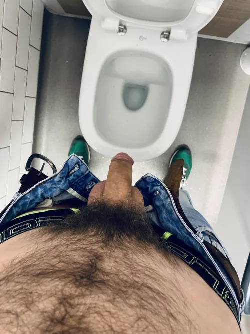 Quick break before food shopping to show off my dick in the public toilet...