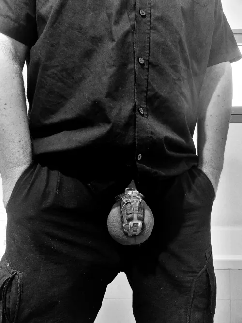 Ready to start a new day with a new cage. Perfect fit for me.