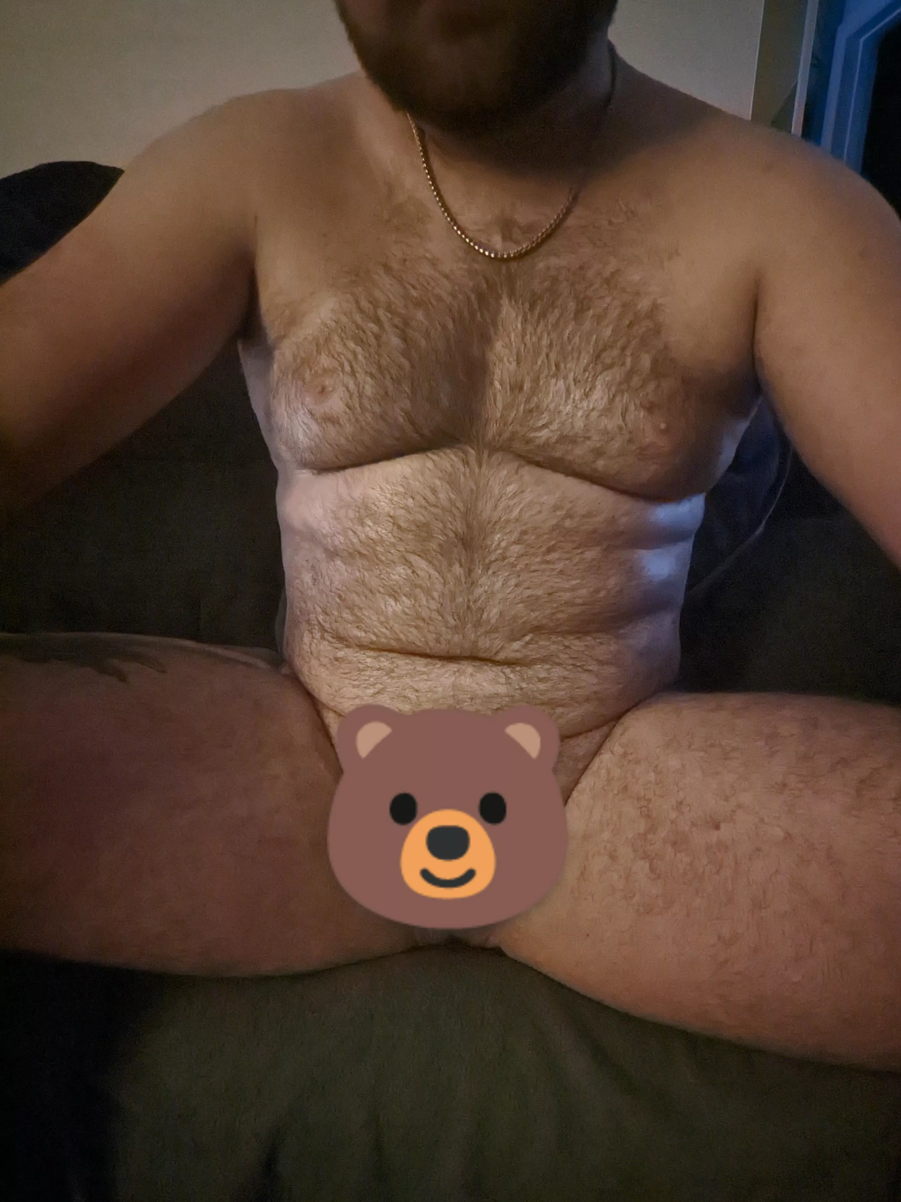Soft and Fuzzy 🐻