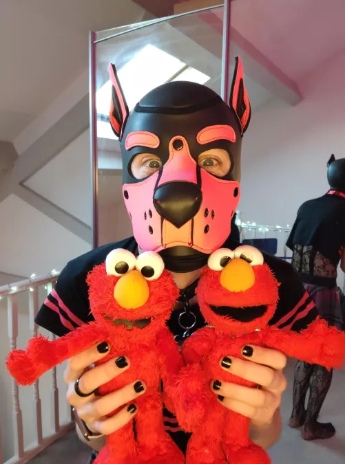 Appently yesterday was international dog day ......Elmo says hi 🖐️