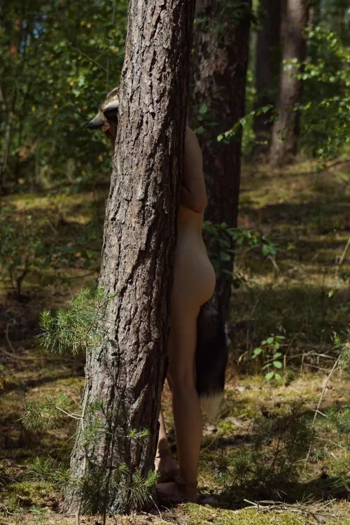 Come to the forest, maybe I find you, maybe I will surprise you.