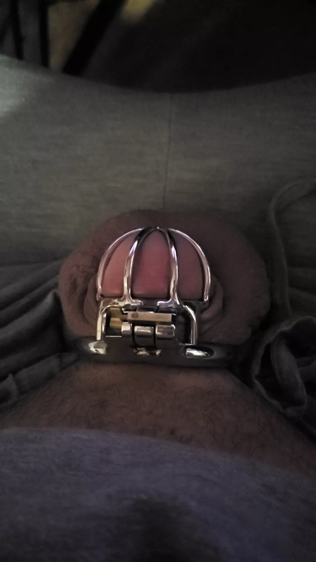 Day 13 almost 2 weeks my little dick has been locked starting to feel natural. But I really want out..
