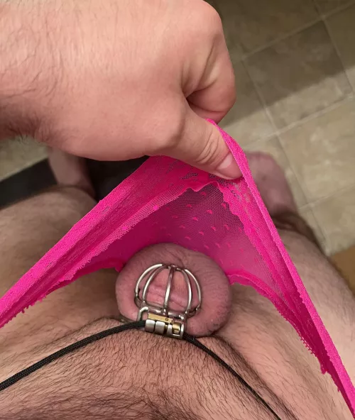 I’d say my balls are swollen but that would be a lie.