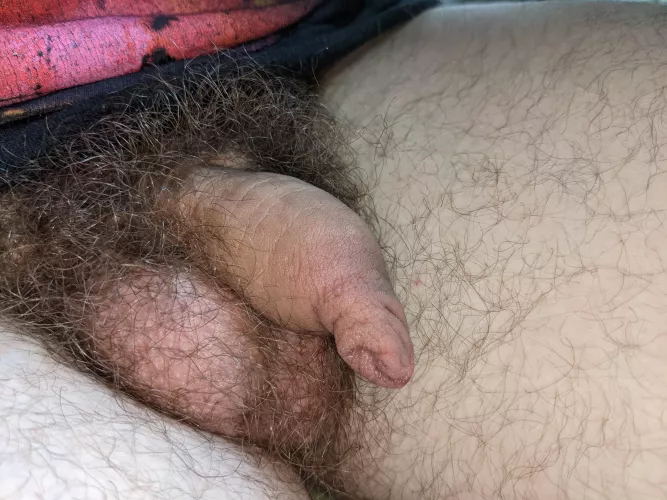 it's our first post on this sub! nice to meet you (: