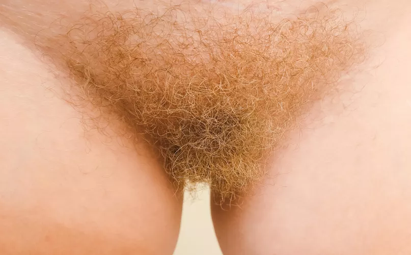 Wanna get tangled in my bush?