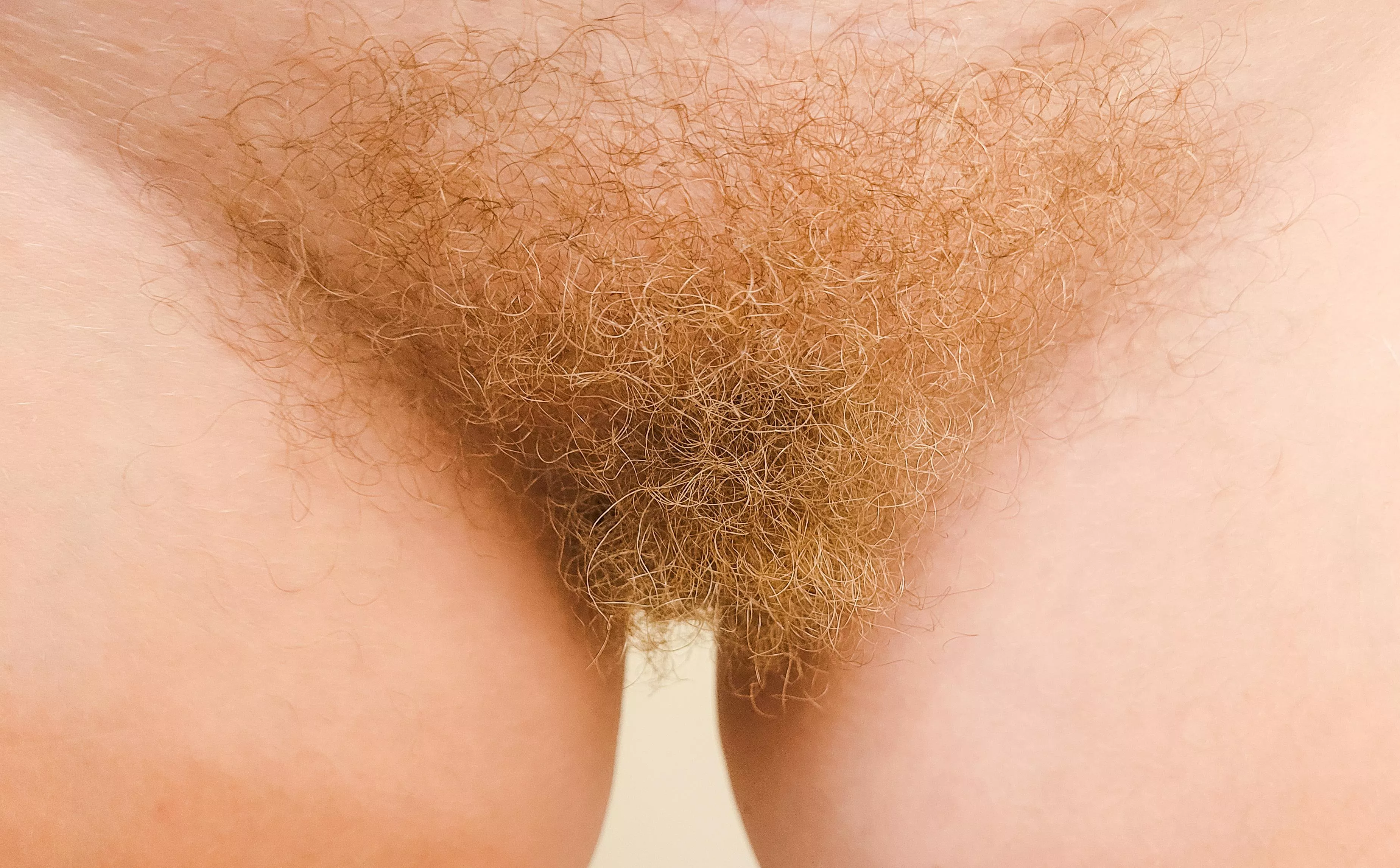 Wanna get tangled in my bush?