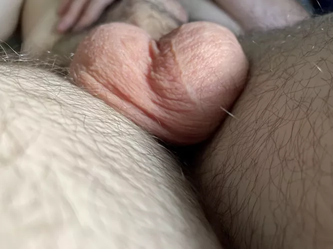 23m, looking for cute, younger (18+, under 30 tho) slim guys that wanna hurt these. 🤪 power bottoms, straight guys, and platonic/non sexual dynamics to the front.