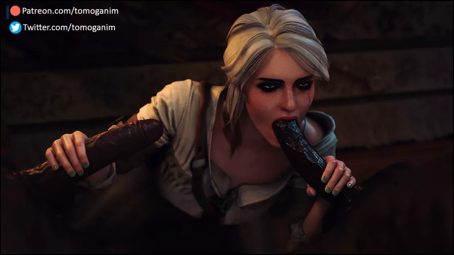 Ciri's two big contracts (Tomoganim)