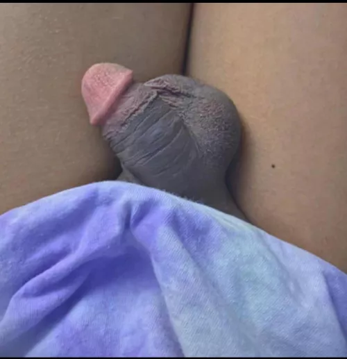 Girls humilate and expose my tiny dick, pm me