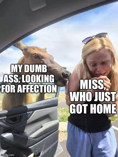 I’m sorry I’m so affectionate Miss, I guess you’ll have to punish me for it 🤷‍♂️