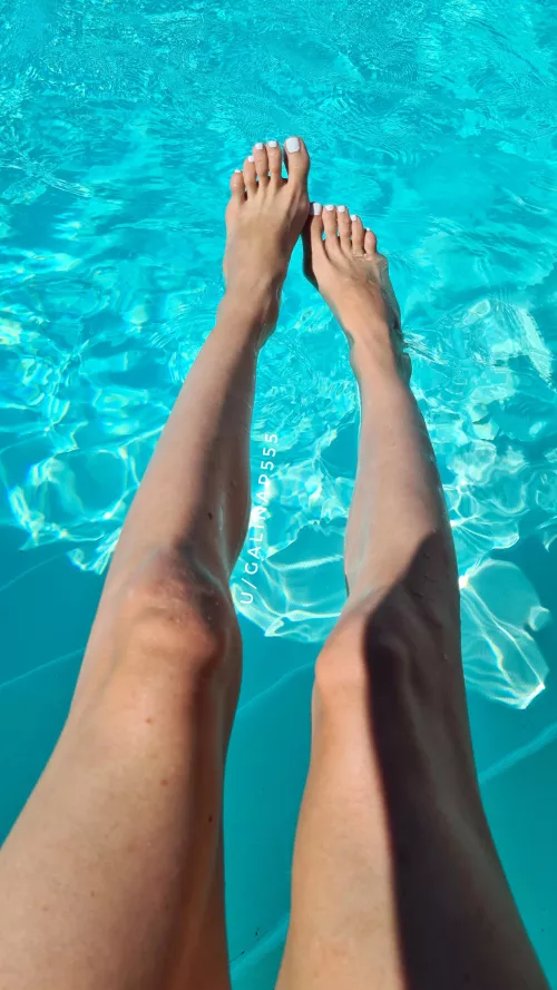 Would you hang out with these beauties? [fun by a pool]