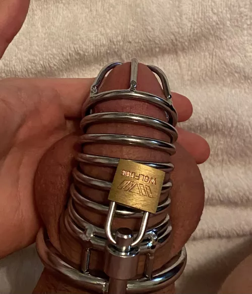 How long should I be caged for? I’ve already been caged for 2 days now and it’s the longest I’ve gone