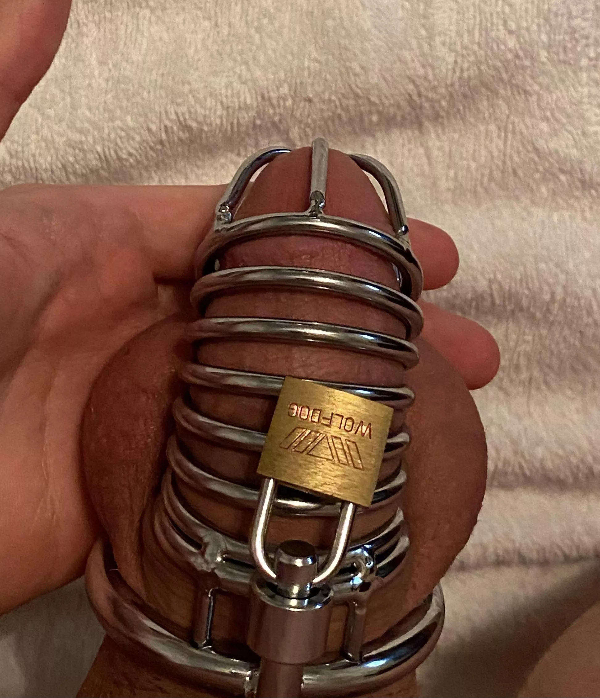 How long should I be caged for? I’ve already been caged for 2 days now and it’s the longest I’ve gone