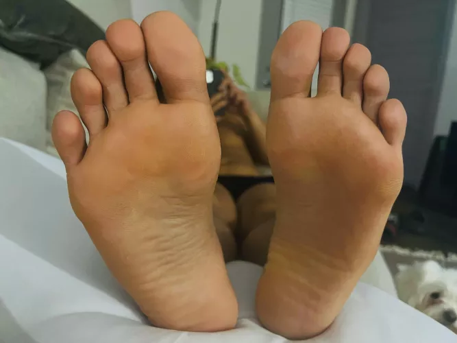 My Dom's soles >