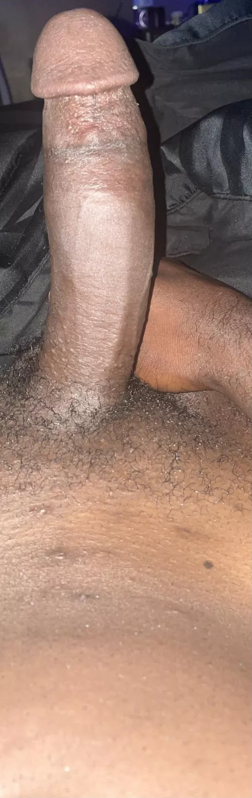 Nova bbc bull, looking to get drained today. Can host dm me