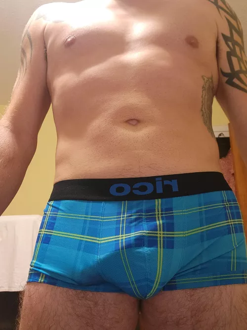 (38) happy blue Tuesday