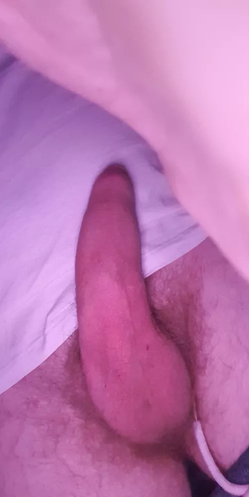 come on sissies lets compare with bets