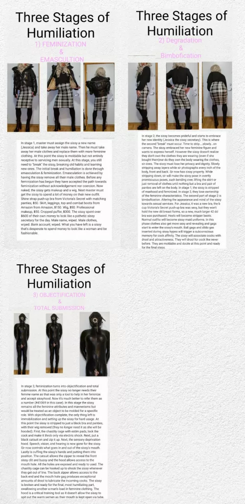 Follow 41069's sissy humiliation training and jorney from man to a beta, submissive sissy