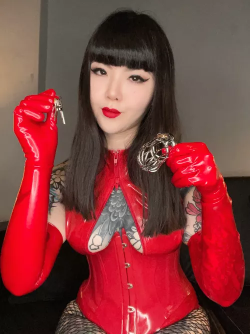 I found the perfect outfit to have my good boy in while he cleans