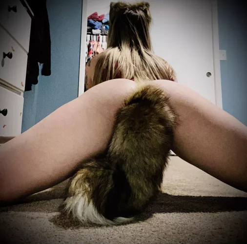 My tail finally arrived. And I’m in love with it 😉💙🦊🙃🤤