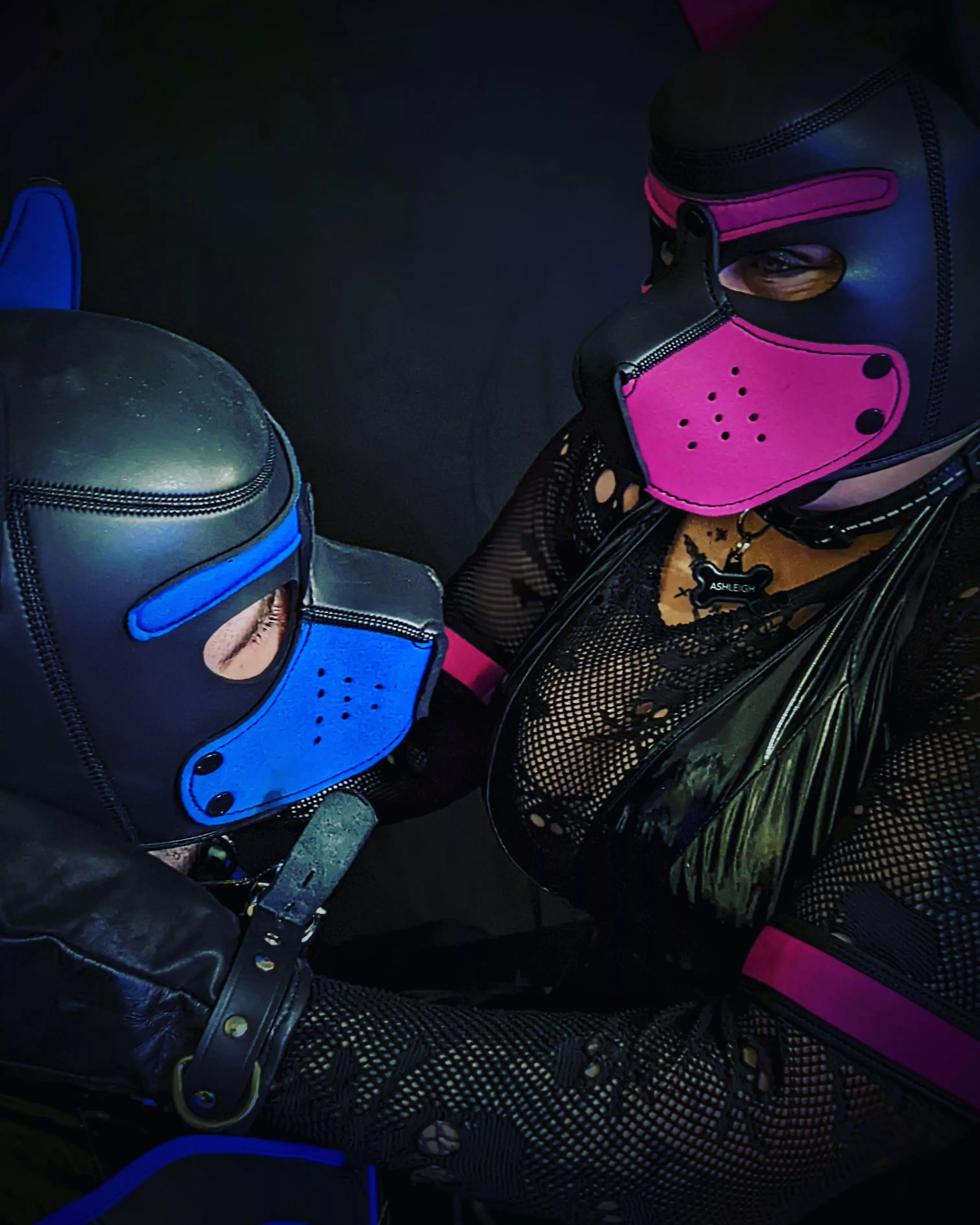 One of my loves. 🦴