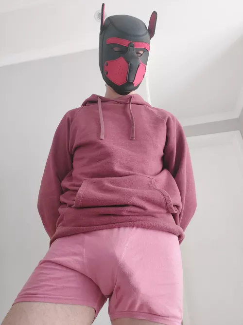 cold morning here, any puppies to warm up with me?