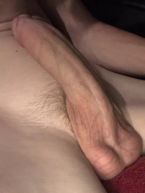 rate my cock