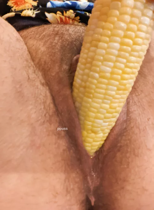 corn isn't really in season anymore, but my grocery store still had a few ears