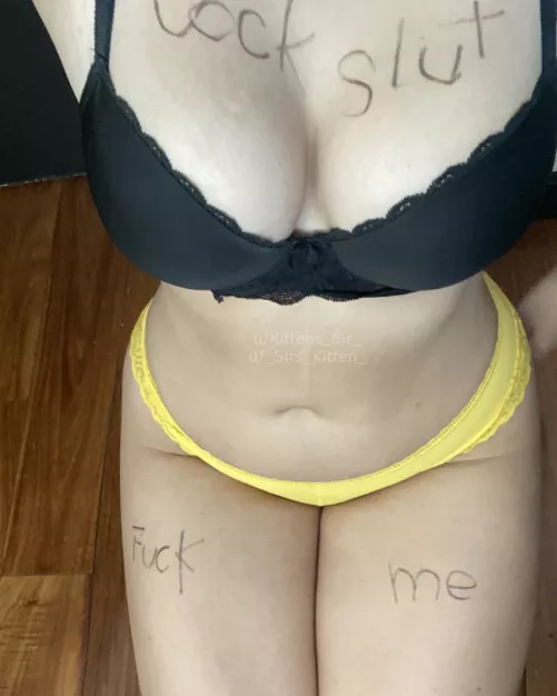 Kitten on her knees and marked [f]or what she is and what she wants