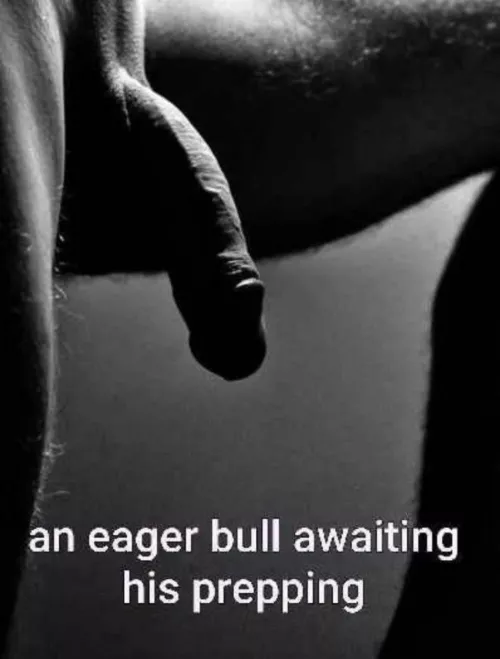 Calling all Cucks you know you want it 😳😳🌴