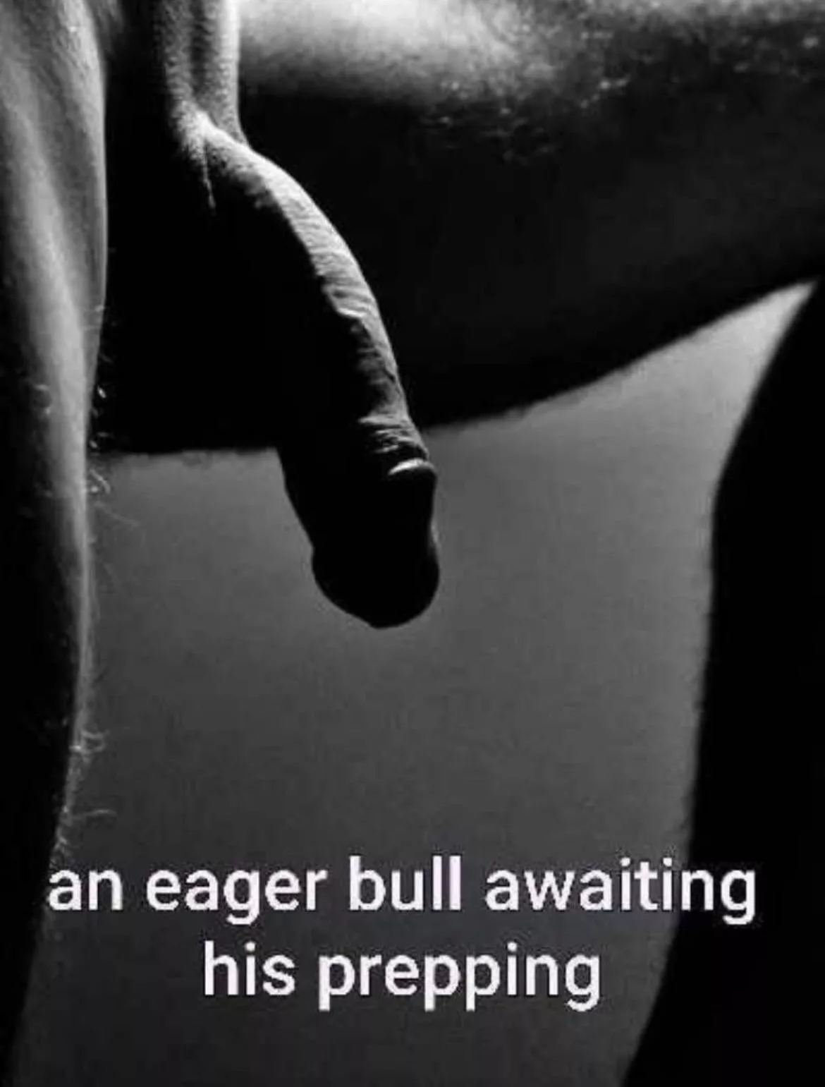 Calling all Cucks you know you want it 😳😳🌴