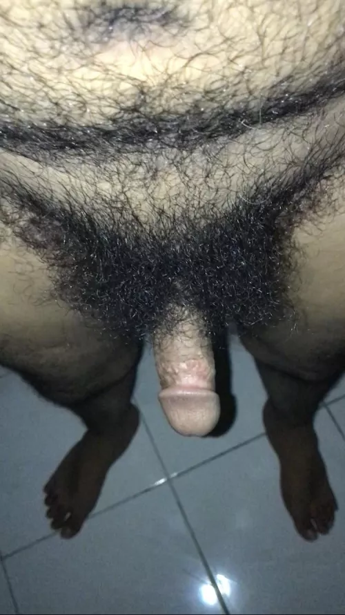 Never trimmed or shaved…