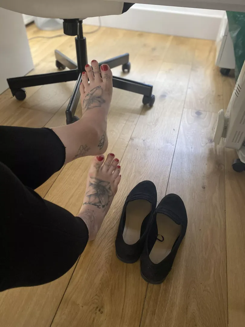 Sit under my desk and I’ll put my feet on you as I work