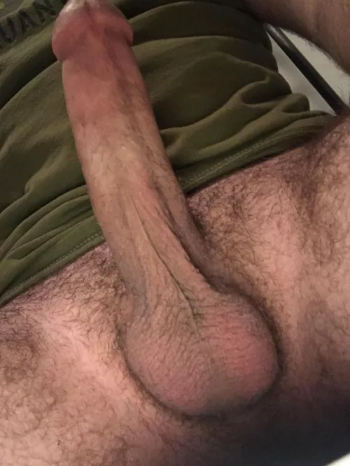Suck my balls while I cum