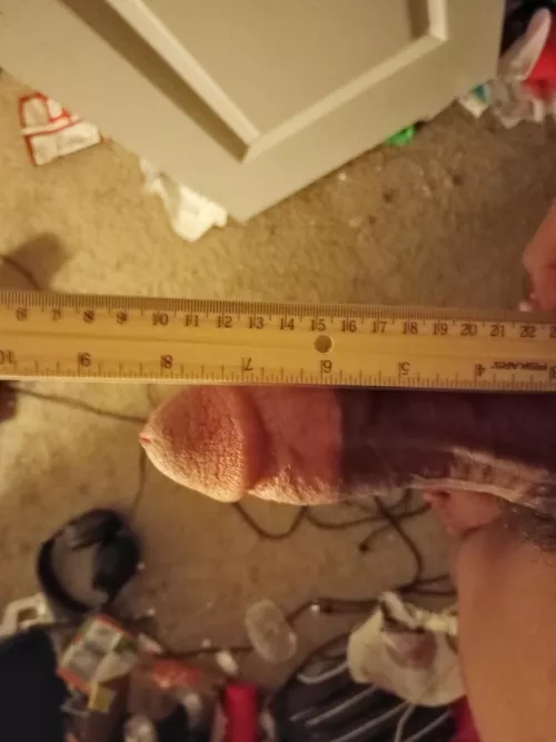 this is how my dick measured on my 18th birthday
