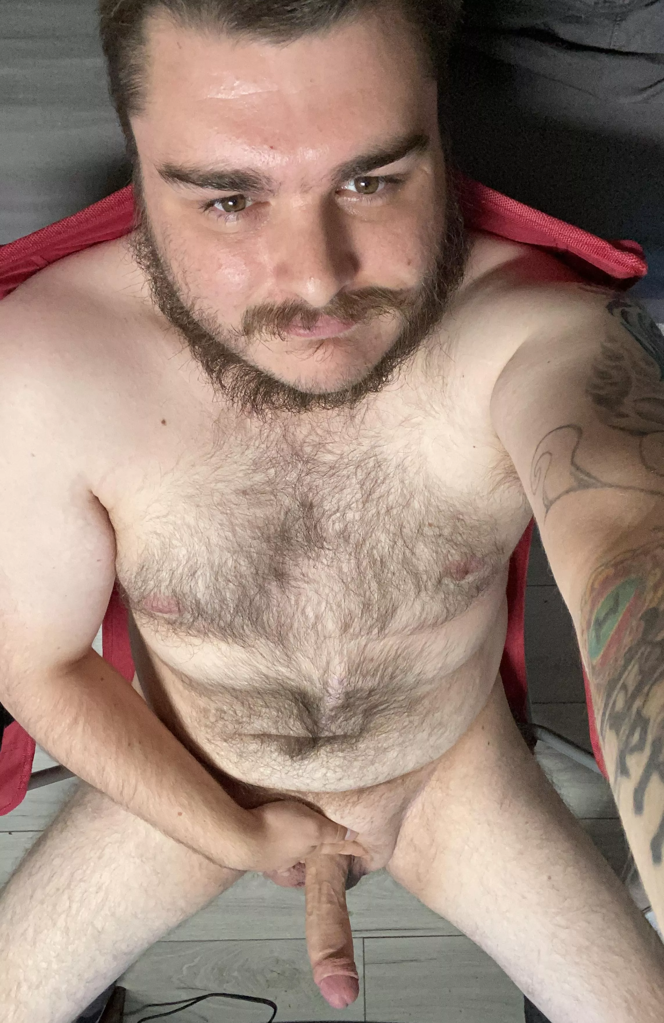 Any ladies wanna take a thicc hairy dudes virginity? Any ladies wanna take a thicc hairy dudes virginity?