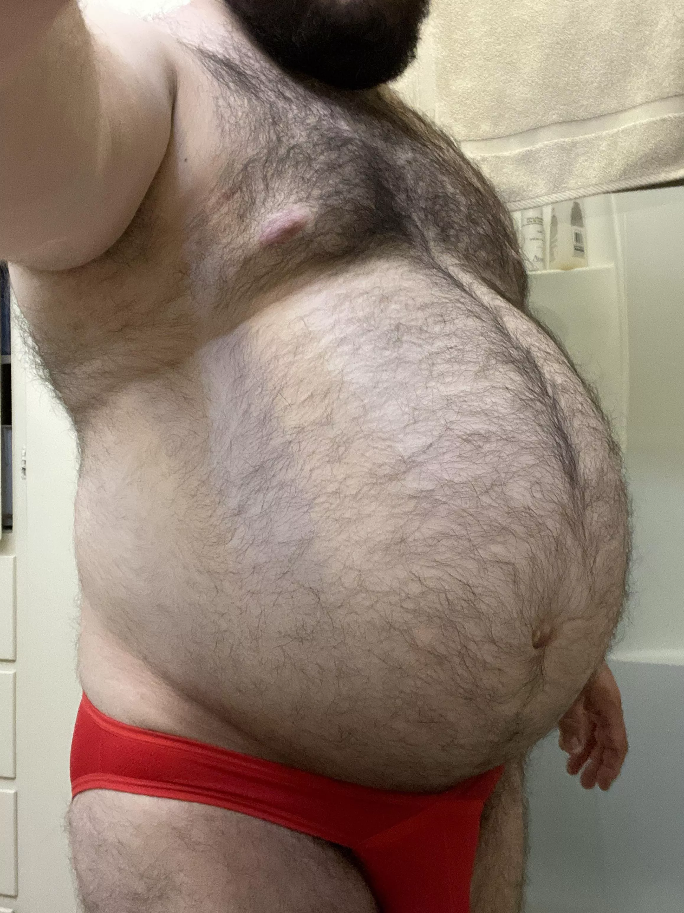Fat bottom bear (36)
