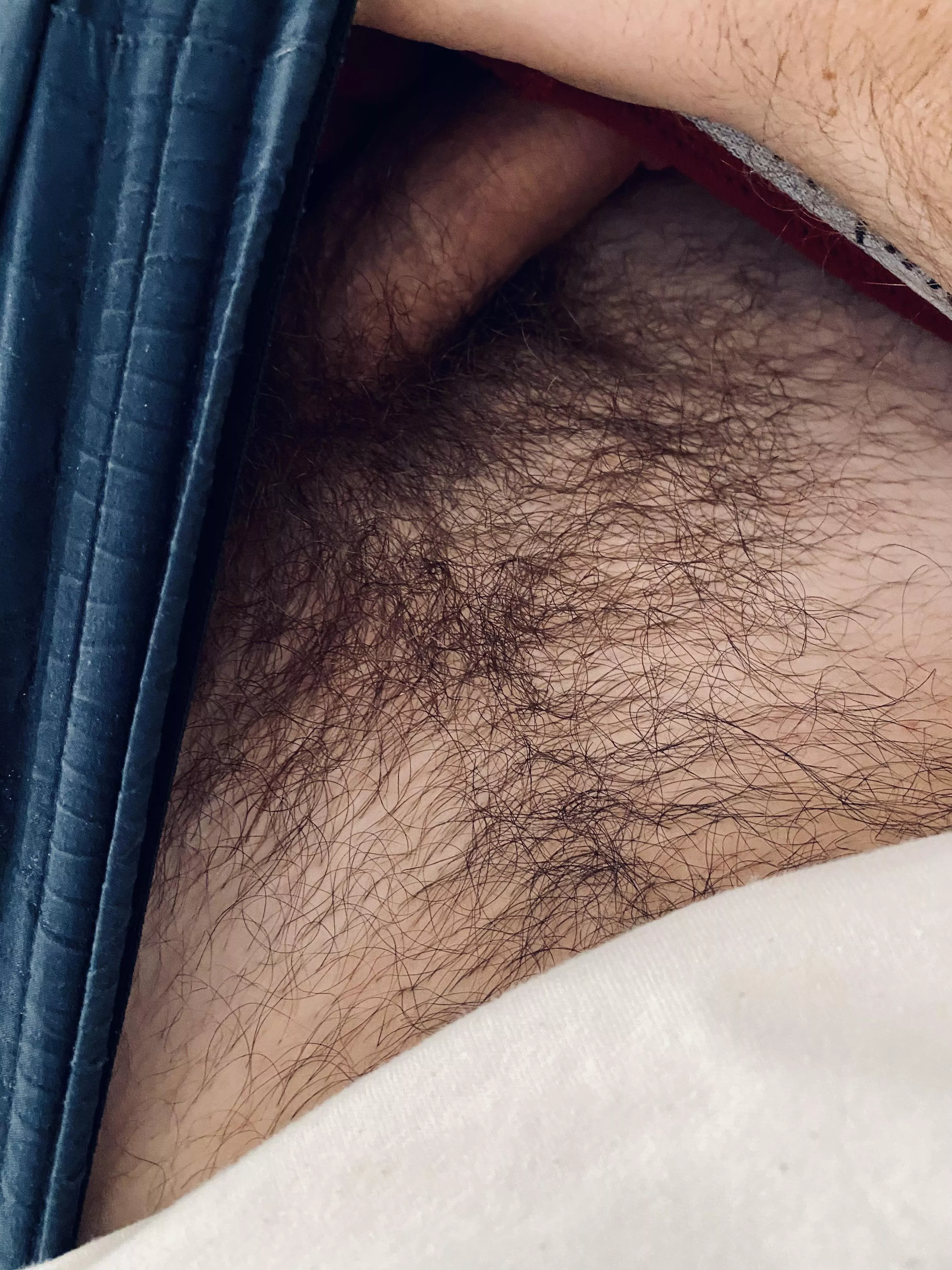 Hairy and horny in bed 🦦