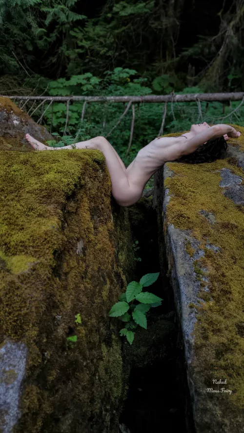 Into the void of mother earth's womb 🌿