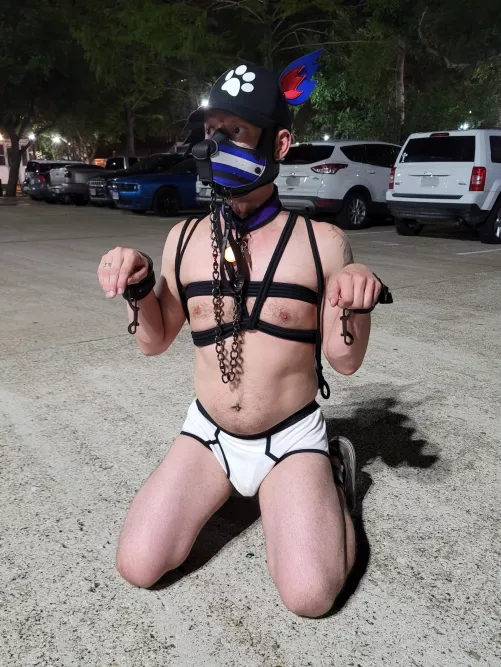 Last little pup in the parking lot last night