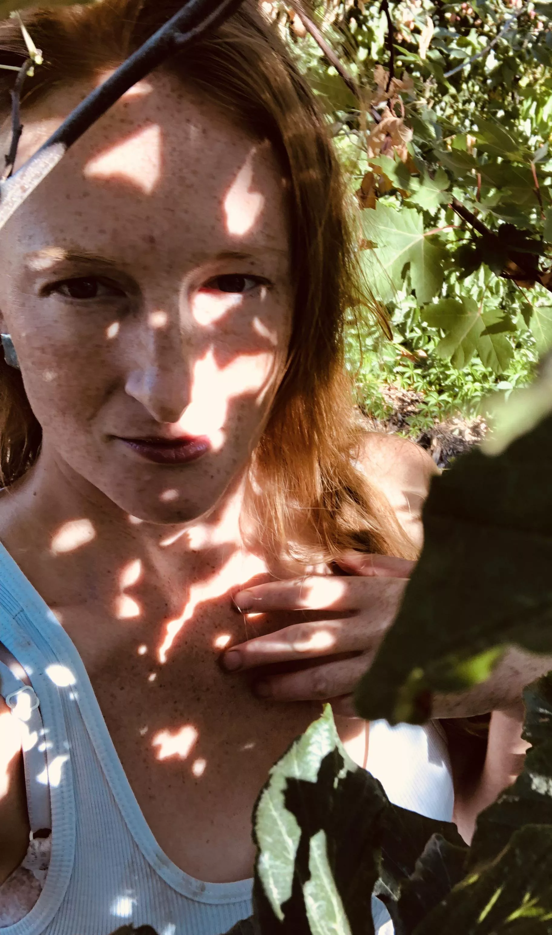 Sun Speckled Freckles Sun Speckled Freckles