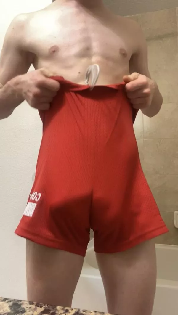 how’s that for ya?