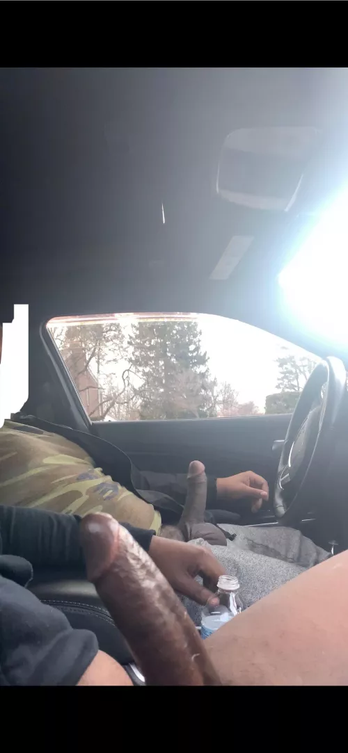 At the park jerking in my car and this random fat dick joined me ( penny pac park )