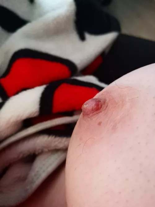 I've been pumping every 4 hours for months to induce lactation and this is the first drop I've gotten so far!